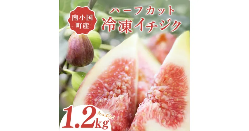 【ふるさと納税】 南小国産 冷凍 イチジク 1.2kg ハーフカット いちじく 無花果 フルーツ 果物 農薬不使用 化学肥料不使用 大容量 お菓子作り 調理 ジャム コンポート スムージー 美容 健康 食物繊維 熊本 南小国町 送料無料