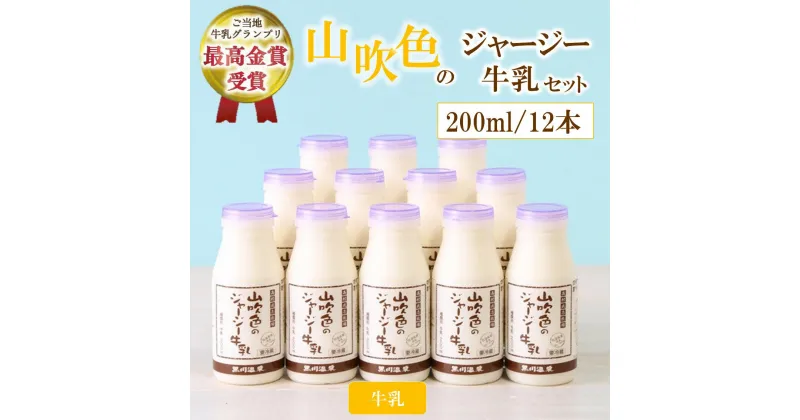 【ふるさと納税】 黒川温泉 山吹色のジャージー牛乳 200ml 12本 ジャージー牛乳 牛乳 セット 乳製品 飲料 健康 腸活 免疫力アップ 乳酸菌 ご当地牛乳グランプリ 最高金賞 ご当地 ギフト 贈答用 山のいぶき 熊本 阿蘇 南小国町 送料無料