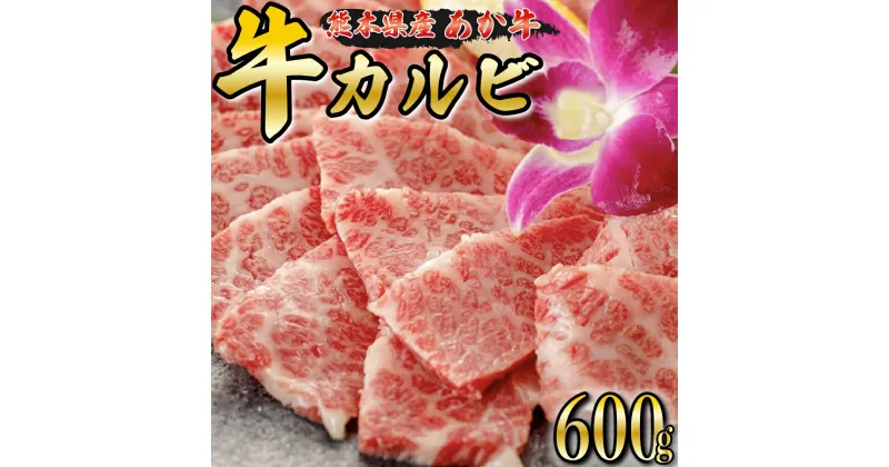 【ふるさと納税】 あか牛 焼肉用 牛カルビ 600g くまもとあか牛 GI認証 熊本県産 焼肉 カルビ 焼き肉 バーベキュー BBQ 国産 和牛 牛 牛肉 熊本 阿蘇 南小国町 送料無料