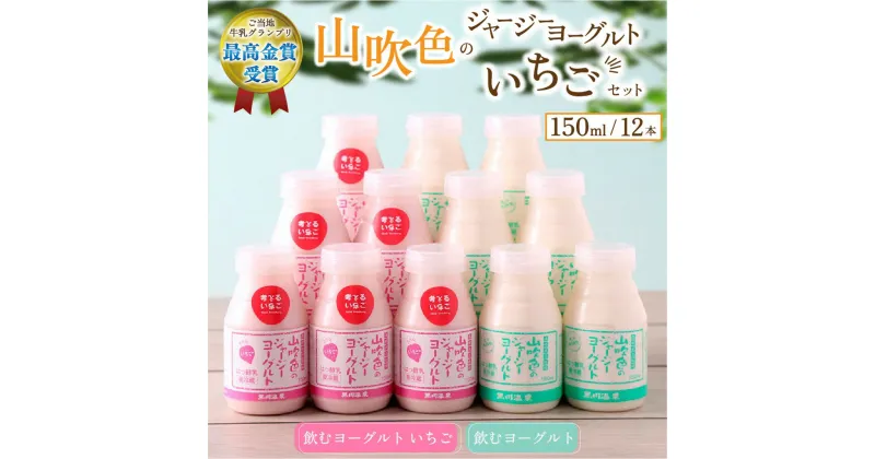 【ふるさと納税】2種 150ml 12本 飲むヨーグルト いちごヨーグルト いちごミルク いちごみるく ジャージー牛乳 詰め合わせ 乳製品 乳飲料 腸活 免疫力アップ 乳酸菌 ご当地 グランプリ ギフト 贈答用 山のいぶき 熊本 阿蘇 南小国町 送料無料