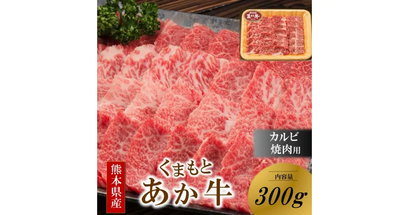 【ふるさと納税】 くまもとあか牛 熊本県産 褐毛和牛 カルビ 焼肉用 300g あか牛 肉 牛 牛肉 国産牛 バーベキュー 焼肉 熊本 阿蘇 南小国 南小国町 送料無料