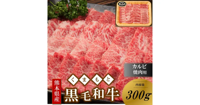 【ふるさと納税】 くまもと黒毛和牛 熊本県産 黒毛和牛 カルビ 焼肉用 300g 焼肉 バーベキュー BBQ 和牛 牛 牛肉 国産 熊本 阿蘇 南小国 南小国町 送料無料