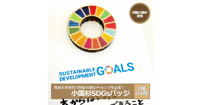 【ふるさと納税】阿蘇小国杉 小国杉 天然木 国産材 阿蘇 熊本 木製 ピンバッジ SDGs サスティナブル アイコン 贈り物 ギフト プレゼント ノベルティにおすすめ 阿蘇小国杉のくらし 送料無料