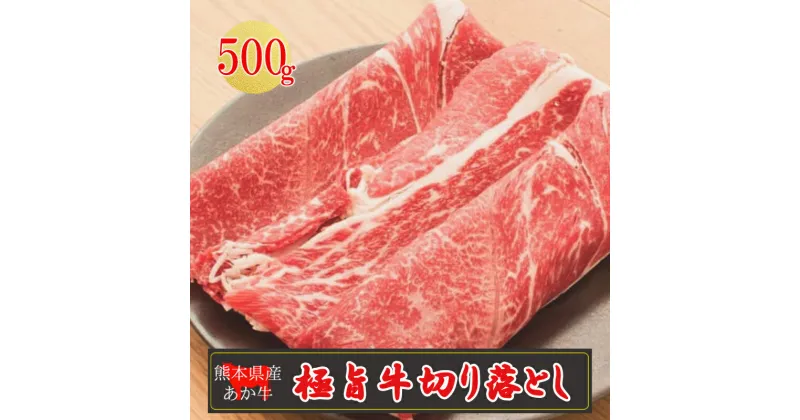 【ふるさと納税】産地直送 くまもと 熊本 阿蘇 あか牛 切り落とし 500g 赤身 煮込み料理 カレー 焼きしゃぶ 矢野畜産 老舗 おうちごはん おうち時間 通販 贈答 お中元 冷凍 送料無料