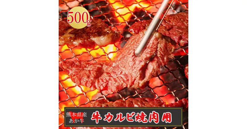 【ふるさと納税】産地直送 くまもと 熊本 阿蘇 あか牛 カルビ バラ 500g 赤身 焼肉 BBQ バーベキュー 矢野畜産 老舗 おうちごはん おうち時間 おうち焼肉 通販 贈答 お中元 冷凍 送料無料