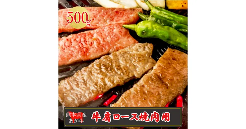 【ふるさと納税】産地直送 くまもと 熊本 阿蘇 あか牛 肩ロース 500g 赤身 焼肉 BBQ バーベキュー 矢野畜産 老舗 おうちごはん おうち時間 おうち焼肉 通販 贈答 お中元 冷凍 送料無料