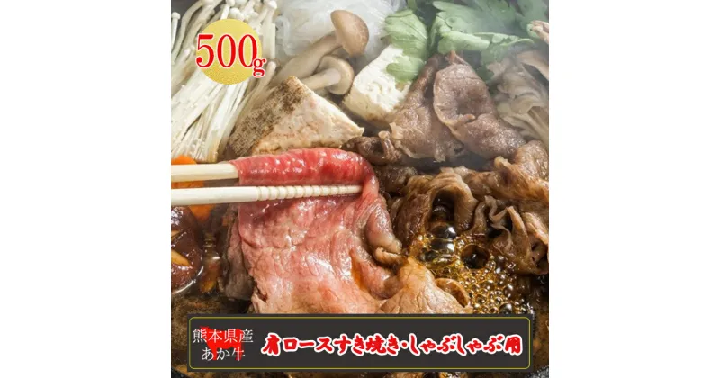 【ふるさと納税】産地直送 くまもと 熊本 阿蘇 あか牛 肩ロース 500g 赤身 しゃぶしゃぶ すき焼き 焼きしゃぶ 矢野畜産 老舗 おうちごはん おうち時間 通販 贈答 お中元 冷凍 送料無料