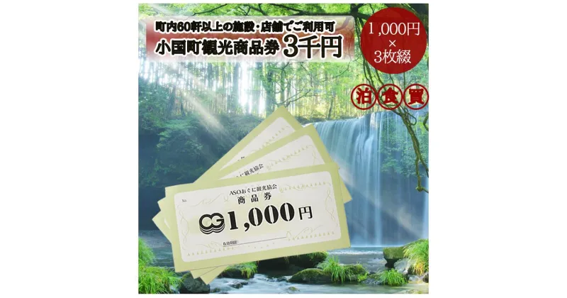 【ふるさと納税】熊本 阿蘇 小国町 杖立温泉 わいた温泉郷 湯けむり 蒸し湯 あか牛 馬刺し ジャージー牛乳 旅行 観光 宿泊 飲食 お買い物 お土産 商品券 宿泊券 1000円×3枚 3千円 3000円 現地払い利用可 地域振興 旅行支援 送料無料【地場産品基準：類型7】