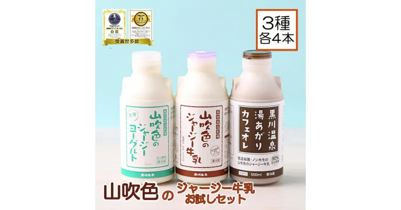 【ふるさと納税】ジャージー牛乳 詰め合わせ お試しセット 飲むヨーグルト 牛乳 200ml カフェオレ ギフト 贈答 セット 飲料 ご当地牛乳グランプリ 最高金賞 熊本 阿蘇 小国郷 山吹色のジャージー牛乳 金賞 味の評価審査賞 購買意欲審査賞 味覚賞 送料無料