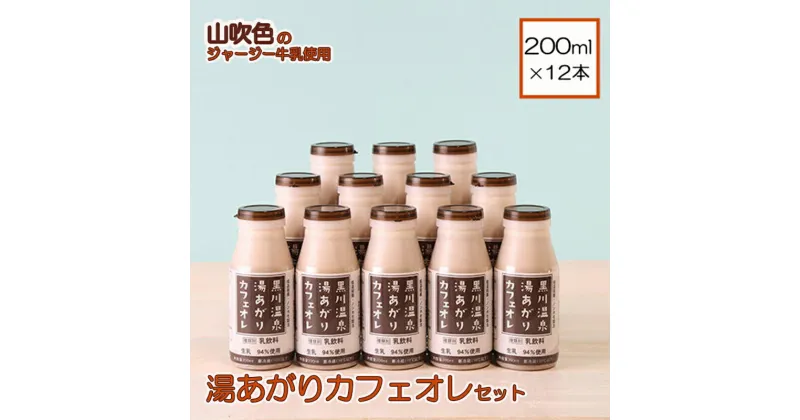 【ふるさと納税】 小国ジャージー牛乳 湯あがりカフェオレセット 200ml×12本 ミルクコーヒー ジャージー牛乳 乳製品 ドリンクギフト 贈答 セット 飲料 健康 熊本 阿蘇 小国郷 小国 最高金賞 ギフト 贈答 ご自宅用 送料無料