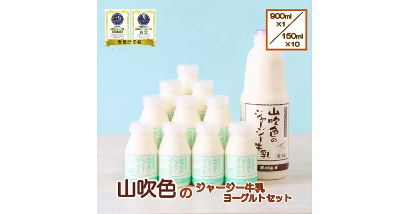 【ふるさと納税】ゴールデンミルク 牛乳 900ml 飲むヨーグルト 150ml 詰め合わせ ギフト 贈答 セット 飲料 熊本 阿蘇 小国郷 小国町 最高金賞 山吹色のジャージー牛乳 最高金賞 金賞 味の評価審査賞 購買意欲審査賞 味覚賞 送料無料