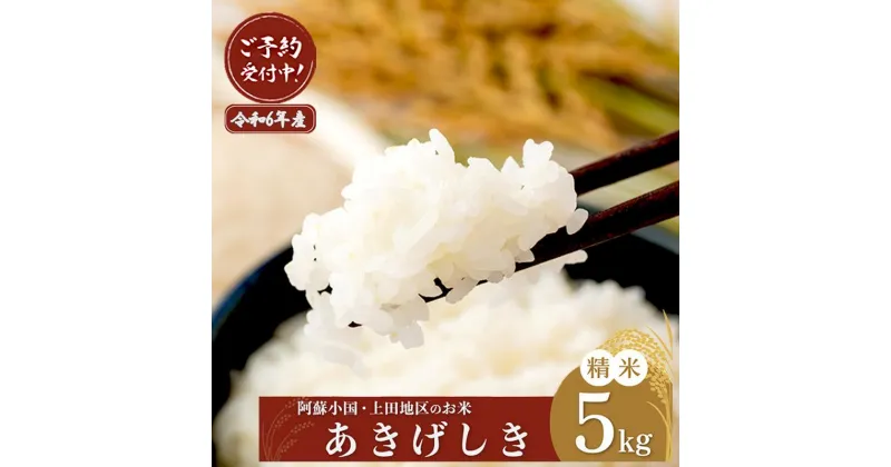 【ふるさと納税】予約米 令和6年産 産直 ノンブレンド米 単一原料 お米 白米 精白米 あきげしき 水の国 熊本 阿蘇 小国町 産地直送 国産 日本産 地場産 贈答 大切な人に食べさせたい 阿蘇小国上田地区の美味しいお米5kg 精米 送料無料【地場産品基準：類型1】