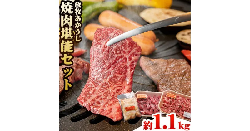 【ふるさと納税】 うぶやま村 放牧 あか牛 焼肉 堪能セット 1.1kg 焼肉正 特選バラ モモ ホルモン 赤身 詰め合わせ セット BBQ 焼き肉 和牛 牛肉 牛 国産 あか牛 くまもとあか牛 大容量 ギフト 詰め合わせ 贈り物 お歳暮 熊本 阿蘇 産山村 《60日以内に出荷(土日祝除く)》