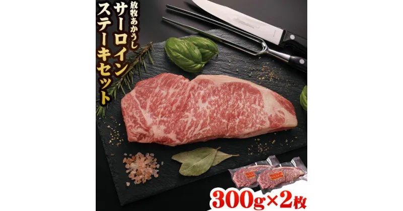 【ふるさと納税】 阿蘇うぶやま村の放牧あか牛サーロインステーキ 600g あか牛 ステーキ肉 300g 2枚 サーロイン ステーキ くまもとあか牛 赤身 和牛 牛肉 牛 国産 あか牛 焼肉正 人気 ギフト 贈り物 お中元 お歳暮 贈答 熊本 阿蘇 産山村 《60日以内に出荷(土日祝除く)》