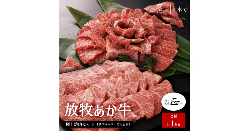 【ふるさと納税】 阿蘇うぶやま村の放牧あか牛極上焼肉セット1kg リブロース てんまる たっぷり BBQ 焼き肉 赤身 和牛 牛肉 牛 国産 あか牛 焼肉正 人気 ギフト 詰め合わせ 贈り物 お中元 お歳暮 贈答 熊本 阿蘇 産山村 送料無料《60日以内に出荷(土日祝除く)》