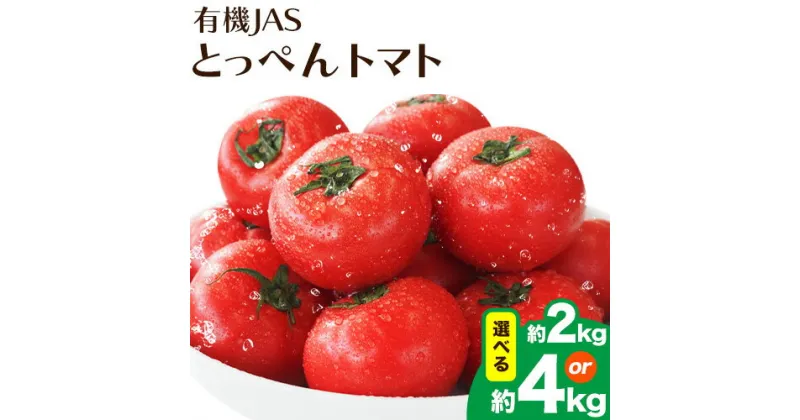 【ふるさと納税】《先行受付！》有機JASとっぺんトマト 約2kg 約4kg 旬 お取り寄せ 詰め合わせ 贈答 ギフト お中元 お歳暮 熊本 阿蘇 産山村 送料無料 トマト 無農薬 有機《11月-12月出荷》