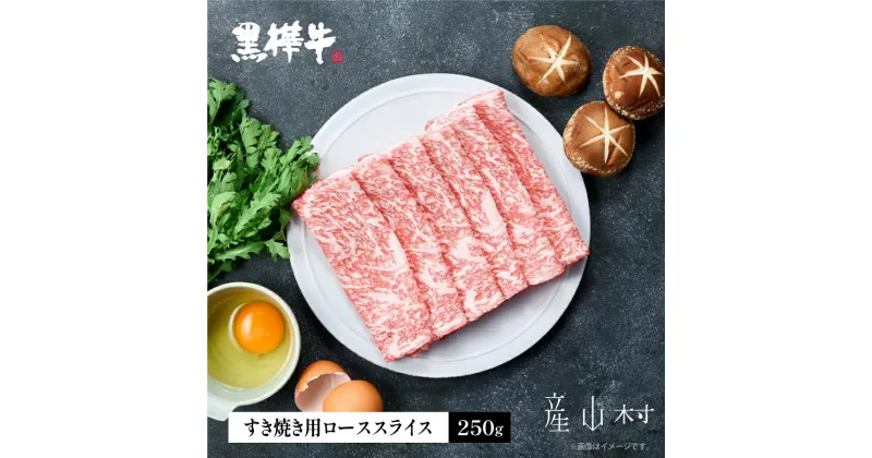 【ふるさと納税】熊本県産黒毛和牛　黒樺牛ローススライス　すき焼き用　250g 肉好き必見 黒毛和牛 肉 牛肉 250g×1 すき焼き 国産 専門店 熊本県 取り寄せ 贈答 ギフト お中元 お歳暮 熊本 阿蘇 産山村 送料無料《60日以内に出荷予定(土日祝除く)》