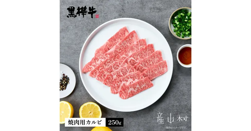 【ふるさと納税】熊本県産黒毛和牛　黒樺牛焼肉用カルビ　250g 肉好き必見 黒毛和牛 黒樺牛 肉 牛肉 250g×1 焼肉 カルビ 国産 専門店 熊本県 取り寄せ 贈答 ギフト お中元 お歳暮 熊本 阿蘇 産山村 送料無料《60日以内に出荷予定(土日祝除く)》