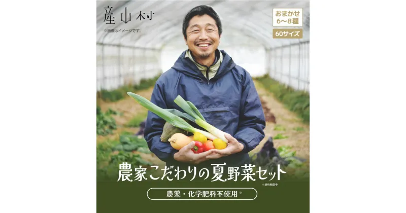 【ふるさと納税】《先行受付！》大地と共に生きよう　おまかせ野菜セット【1人～2人用】 贈答 ギフト お中元 お歳暮 熊本 阿蘇 産山村 送料無料 夏野菜 セット 詰め合わせ スイスチャード 空心菜 白ゴーヤ ルッコラ 無農薬《7月中旬-10月下旬頃出荷》