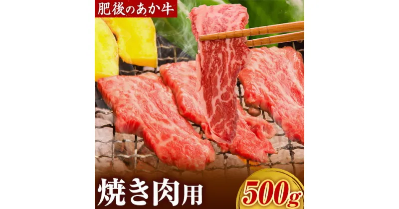 【ふるさと納税】肥後の赤牛　焼肉用　500g 贈答 ギフト お中元 お歳暮 熊本 阿蘇 産山村 送料無料 赤牛 肥後 焼肉 バーベキュー《60日以内に出荷予定(土日祝除く)》