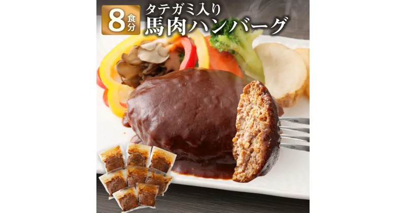 【ふるさと納税】タテガミ入り馬肉ハンバーグ 8個セット 合計約1.6kg 200g×8個 デミグラスソース ハンバーグ 馬肉 菅乃屋 千興ファーム レストラン 惣菜 おかず 真空パック 冷凍 送料無料