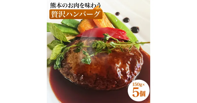 【ふるさと納税】ハンバーグ 熊本のお肉を味わう贅沢ハンバーグ 合計750g (150g×5個) ハンバーグ 個包装 あか牛 りんどうポーク 簡単調理 温めるだけ 惣菜 熊本県産 九州産 国産 冷凍 送料無料