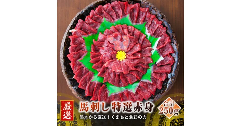 【ふるさと納税】熊本 馬刺し 特選 赤身 250g 50g×5個 国内肥育 たれ・生姜付き 小分け 真空パック 刺し身 おつまみ 馬肉 冷凍 送料無料