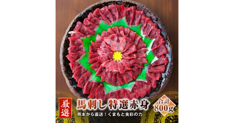 【ふるさと納税】熊本 馬刺し 特選 赤身 800g 50g×16個 国内肥育 たれ・生姜付き 小分け 真空パック 刺し身 おつまみ 馬肉 冷凍 送料無料