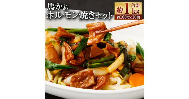 【ふるさと納税】馬かぁホルモン焼 10個セット 約1kg 100g×10個 ホルモン 馬肉 惣菜 おかず おつまみ 冷凍 送料無料