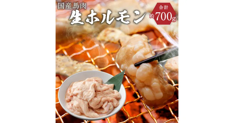 【ふるさと納税】国産馬肉 生ホルモン 約700g 焼肉・煮込み用 国産 九州産 熊本産 ホルモン 馬肉 大腸 冷凍 送料無料