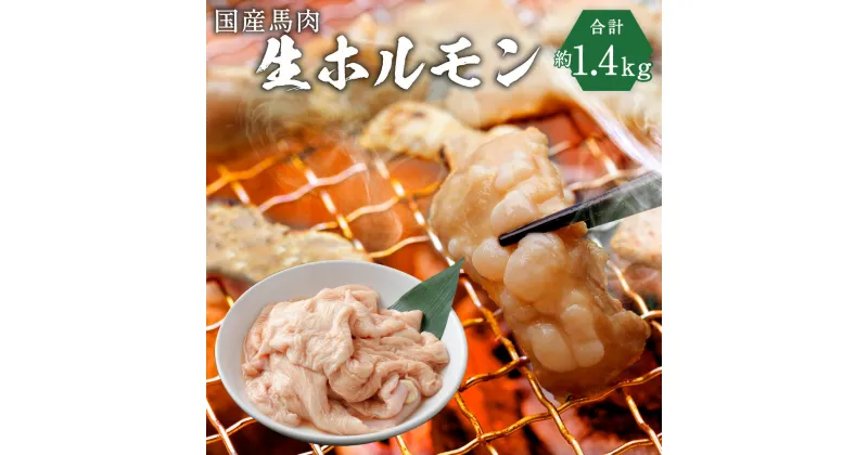 【ふるさと納税】国産馬肉 生ホルモン 約1.4kg 焼肉・煮込み用 国産 九州産 熊本産 ホルモン 馬肉 大腸 冷凍 送料無料