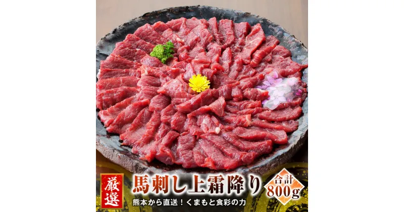 【ふるさと納税】熊本 馬刺し 上霜降り トロ 800g 50g×16個 国内肥育 上霜降り たれ・生姜付き 小分け 真空パック 刺し身 おつまみ 馬肉 冷凍 送料無料