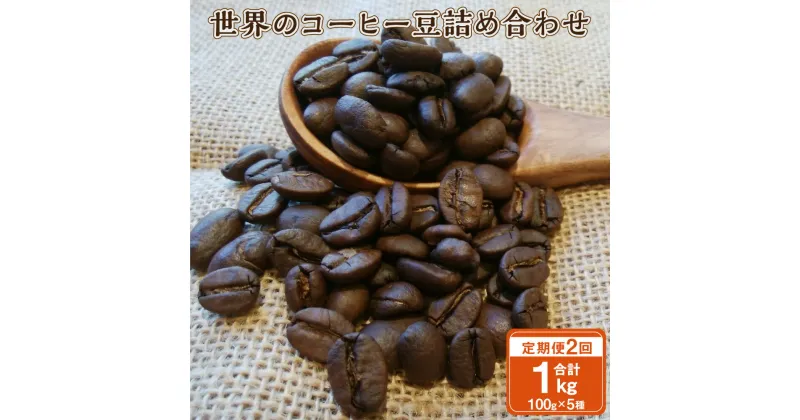 【ふるさと納税】【2ヶ月定期便】世界の コーヒー豆 詰め合わせ 合計1kg 500g （100g×5種） コーヒー 珈琲 自家焙煎 飲料 ドリンク 飲み比べ お取り寄せ 熊本県 阿蘇 高森町 送料無料