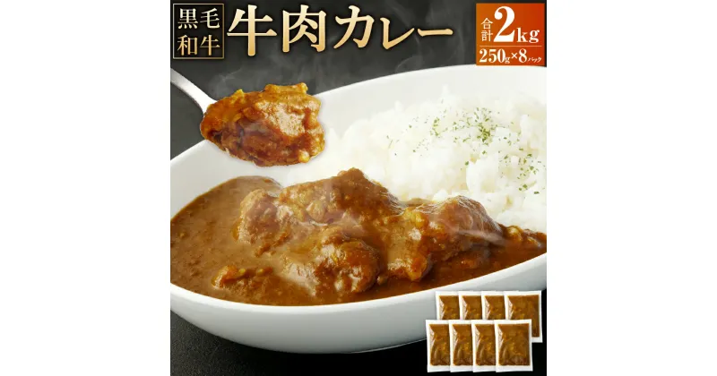 【ふるさと納税】牛肉カレー(250g×8パック) 計2,000g カレー 黒毛和牛 牛肉 和風ベース 冷凍 熊本県 高森町