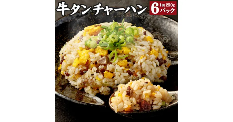 【ふるさと納税】牛タンチャーハン 1.5kg (250g×6パック) 牛タン チャーハン 米 お米 電子レンジで簡単 冷凍 パック 熊本県 高森町 送料無料