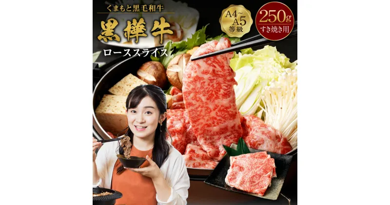 【ふるさと納税】くまもと黒毛和牛 黒樺牛 A4～A5等級 ローススライス すき焼き用 250g 牛肉 牛 お肉 鍋 すきやき しゃぶしゃぶ 薄切り スライス 黒毛和牛 国産 九州産 熊本県産 冷凍 送料無料