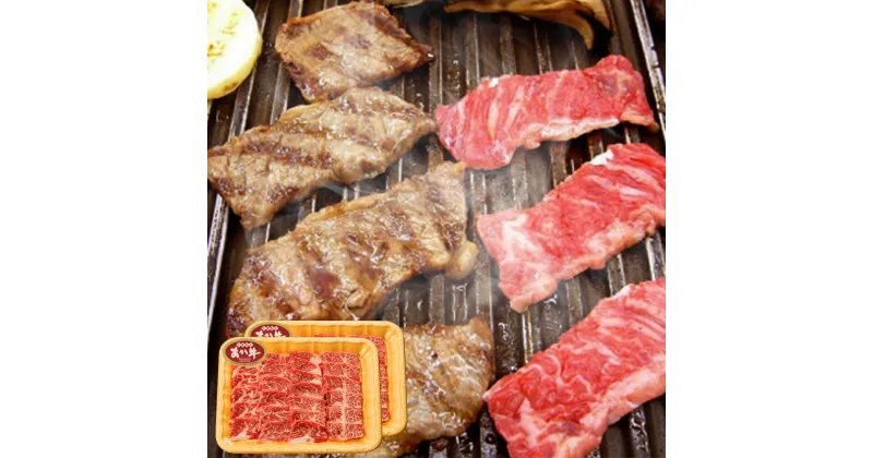 【ふるさと納税】熊本県産 あか牛 カルビ 焼肉用 合計600g 300g×2パック 肉 お肉 牛肉 和牛 赤牛 褐毛和牛 焼き肉 BBQ やきにく 冷凍 送料無料