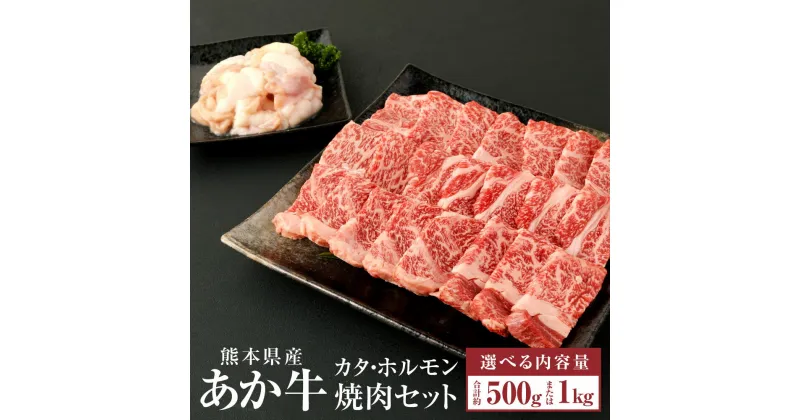 【ふるさと納税】あか牛 赤身 焼肉セット 合計500g(カタ350g・ホルモン150g) 2種類 肉 お肉 牛肉 和牛 焼肉 焼き肉 セット くまもとあか牛 冷凍 国産 九州 熊本県 西原村産 送料無料