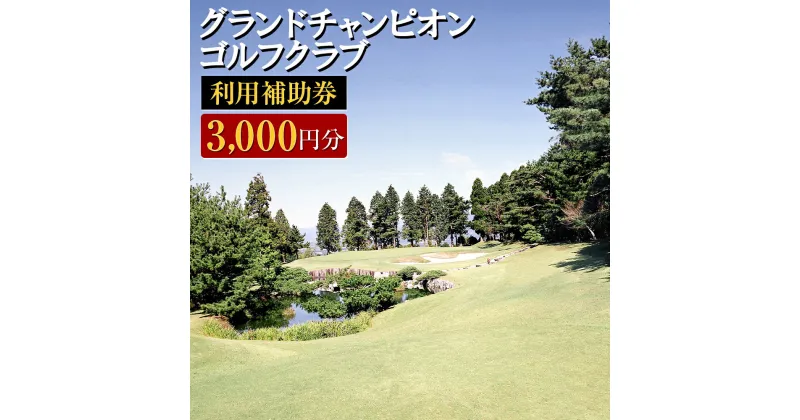 【ふるさと納税】グランドチャンピオンゴルフクラブ 利用補助券 3000円分 1000円×3枚 ゴルフクラブ ゴルフプレー ゴルフ 練習 食事 買い物 金券 利用券 補助券 九州 熊本 阿蘇 西原村 送料無料