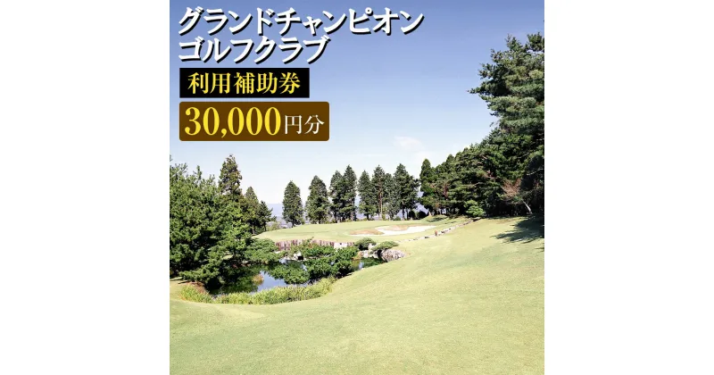 【ふるさと納税】グランドチャンピオンゴルフクラブ 利用補助券 30,000円分 1000円×30枚 ゴルフクラブ ゴルフプレー ゴルフ 練習 食事 買い物 金券 利用券 補助券 九州 熊本 阿蘇 西原村 送料無料