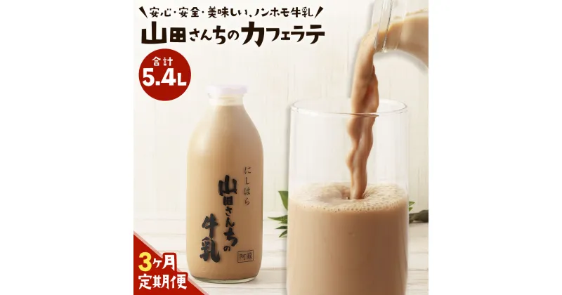 【ふるさと納税】【3ヶ月定期便】山田さんちのカフェラテ 900ml×2本×3回 合計5.4L ノンホモ牛乳 カフェラテ 牛乳 ミルク ミルクコーヒー コーヒー 珈琲 低温殺菌 乳飲料 ドリンク 熊本県 西原村産 冷蔵 送料無料