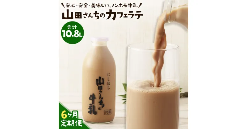 【ふるさと納税】【6ヶ月定期便】山田さんちのカフェラテ 900ml×2本×6回 合計10.8L ノンホモ牛乳 カフェラテ 牛乳 ミルク ミルクコーヒー コーヒー 珈琲 低温殺菌 乳飲料 ドリンク 熊本県 西原村産 冷蔵 送料無料