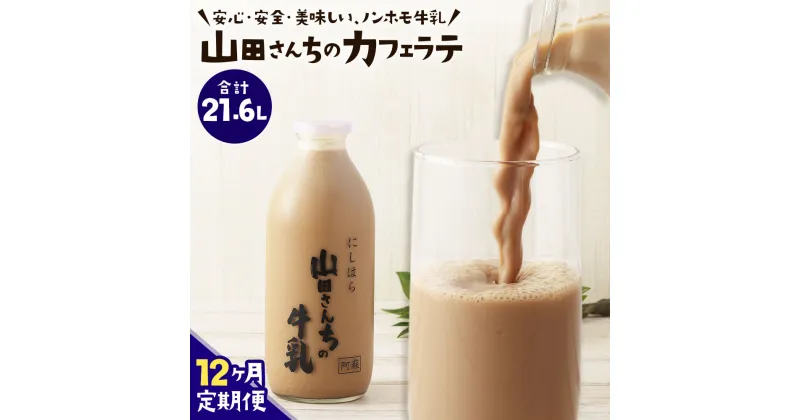 【ふるさと納税】【12ヶ月定期便】山田さんちのカフェラテ 900ml×2本×12回 合計21.6L ノンホモ牛乳 カフェラテ 牛乳 ミルク ミルクコーヒー コーヒー 珈琲 低温殺菌 乳飲料 ドリンク 熊本県 西原村産 冷蔵 送料無料