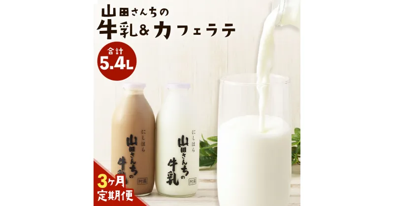 【ふるさと納税】【3ヶ月定期便】山田さんちの牛乳・カフェラテ セット 900ml×2本×3回 合計5.4L 飲み比べ ノンホモ牛乳 生乳100％ カフェラテ 牛乳 ミルク ミルクコーヒー コーヒー 珈琲 低温殺菌 乳飲料 ドリンク 熊本県 西原村産 冷蔵 送料無料