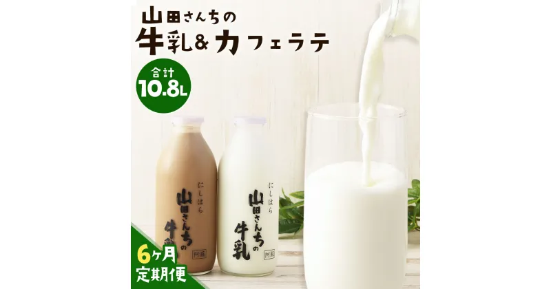 【ふるさと納税】【6ヶ月定期便】山田さんちの牛乳・カフェラテ セット 900ml×2本×6回 合計10.8L 飲み比べ ノンホモ牛乳 生乳100％ カフェラテ 牛乳 ミルク ミルクコーヒー コーヒー 珈琲 低温殺菌 乳飲料 ドリンク 熊本県 西原村産 冷蔵 送料無料