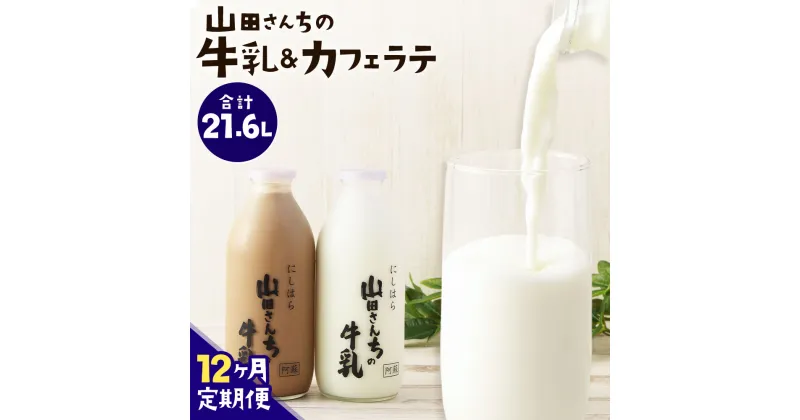 【ふるさと納税】【12ヶ月定期便】山田さんちの牛乳・カフェラテ セット 900ml×2本×12回 合計21.6L 飲み比べ ノンホモ牛乳 生乳100％ カフェラテ 牛乳 ミルク ミルクコーヒー コーヒー 珈琲 低温殺菌 乳飲料 ドリンク 熊本県 西原村産 冷蔵 送料無料