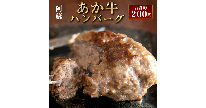 【ふるさと納税】阿蘇あか牛ハンバーグ 100g×2個 合計約200g あか牛 あかうし 牛肉 和牛 ハンバーグ セット 食品 惣菜 国産 九州産 熊本県産 冷凍 送料無料