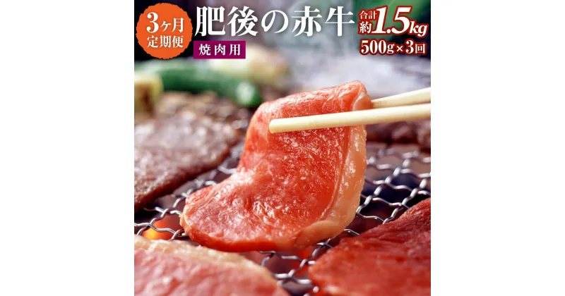 【ふるさと納税】【3ヶ月定期便】肥後の赤牛 焼肉用 500g 3回 合計1.5kg あか牛 牛肉 肉 焼き肉 やきにく 冷凍 国産 九州産 熊本県産 西原村 送料無料