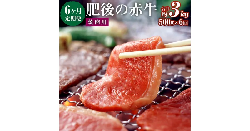 【ふるさと納税】【6ヶ月定期便】肥後の赤牛 焼肉用 500g 6回 合計3kg あか牛 牛肉 肉 焼き肉 やきにく 冷凍 国産 九州産 熊本県産 西原村 送料無料