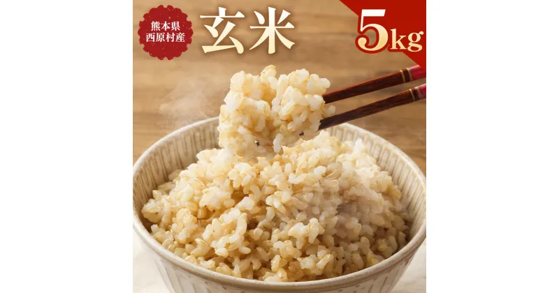 【ふるさと納税】お米 玄米 5kg 米 単一原料米 ヒノヒカリ ひのひかり 主食 グルメ 炭水化物 国産 九州産 熊本県産 西原村産 送料無料